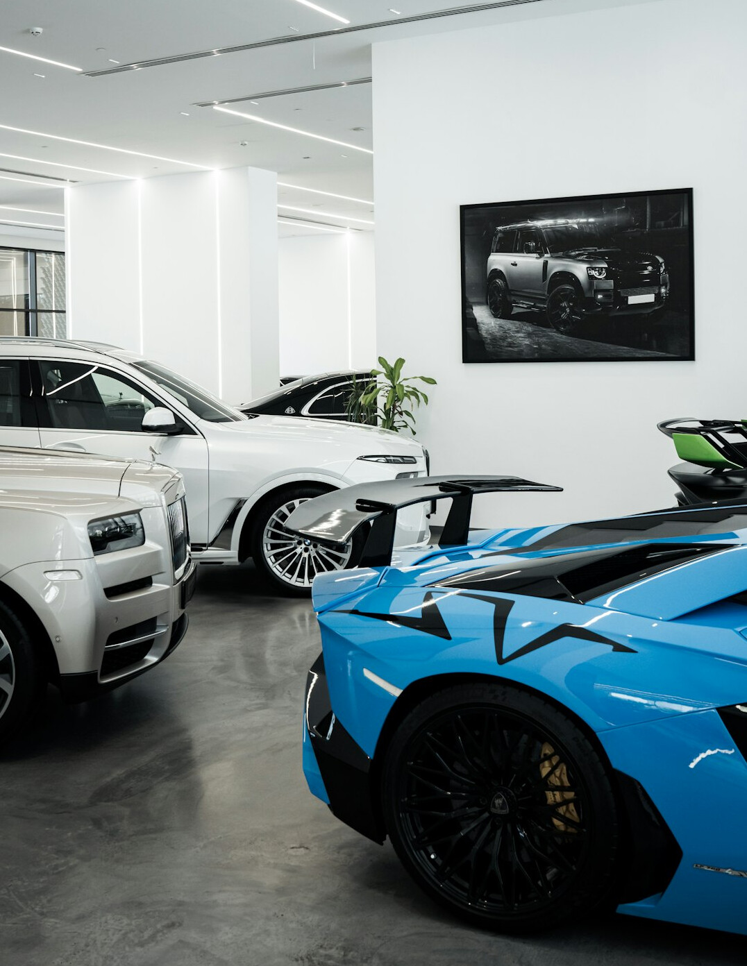 luxury car collection